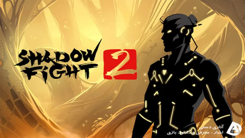 SHADOW FIGHT2