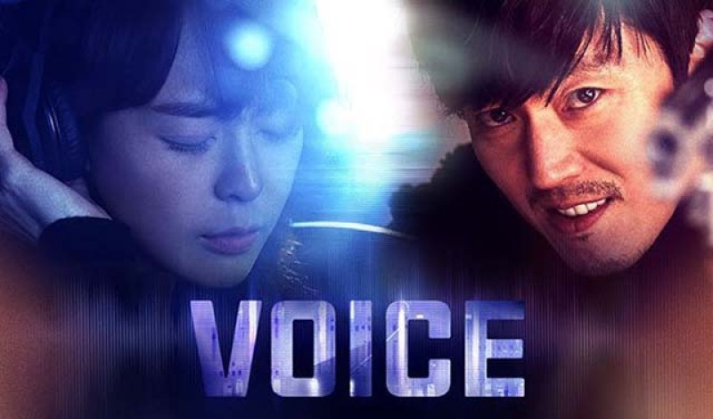 voice